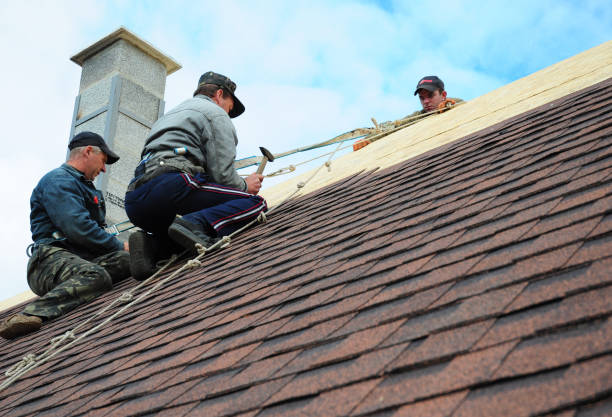 Best Roof Gutter Cleaning  in Lake Barcroft, VA